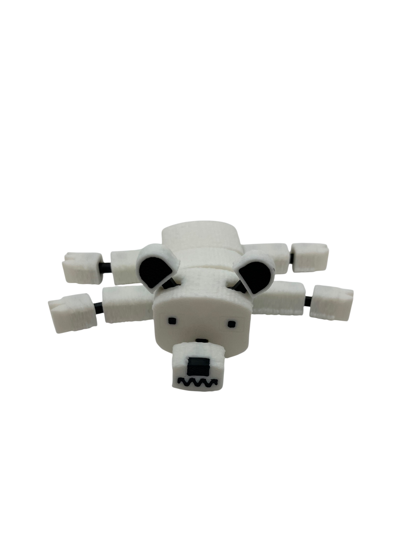 Bear (polar)