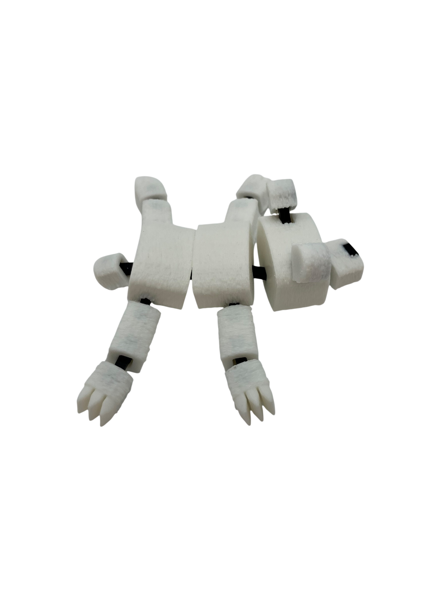 Bear (polar)